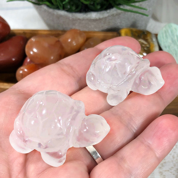 Carved Turtle - Clear Quartz