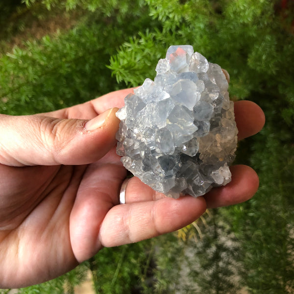 Celestite Crystal