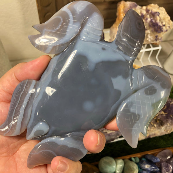 Huge Agate Sea Turtle with large druzy 6.5”