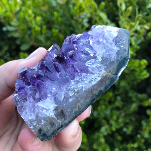 Amethyst Cluster Display Specimen (Protection, Intuition, Sobriety, Calm)