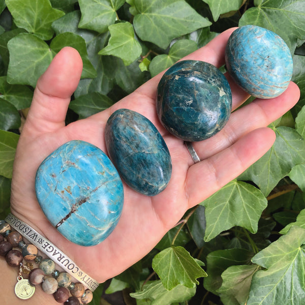 Apatite Palm Stones