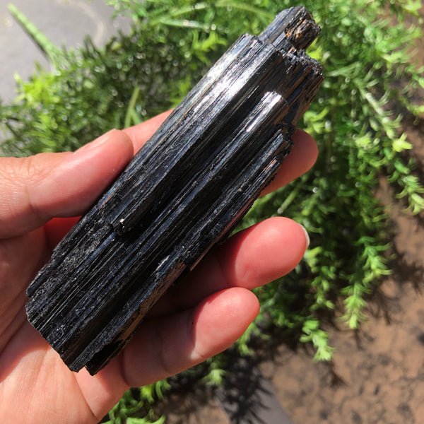 Large Black Tourmaline- (Protection)