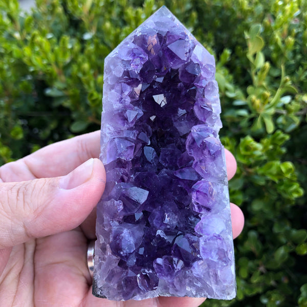 Amethyst Cluster Display Specimen (Protection, Intuition, Sobriety, Calm)