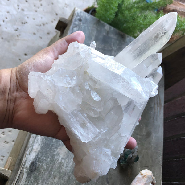 HUGE/Gorgeous Clear Quartz Crystal