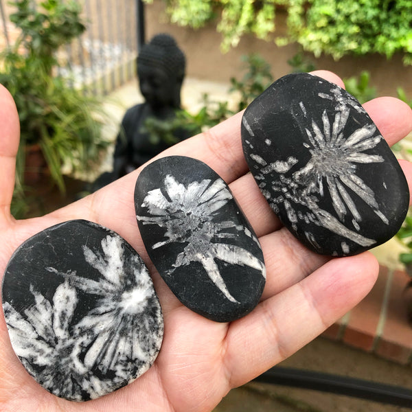 Chrysanthemum Stone (Everlasting Love, Inner Wisdom, Clarity, Self Healing),
