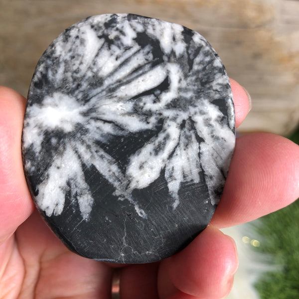 Chrysanthemum Stone (Everlasting Love, Inner Wisdom, Clarity, Self Healing),