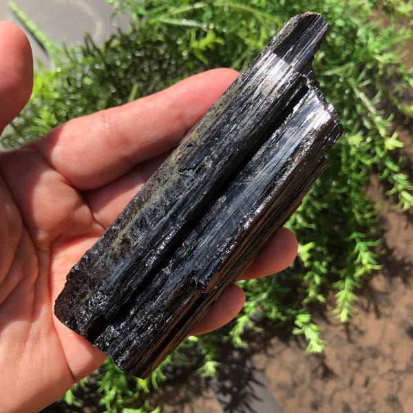 Large Black Tourmaline- (Protection)