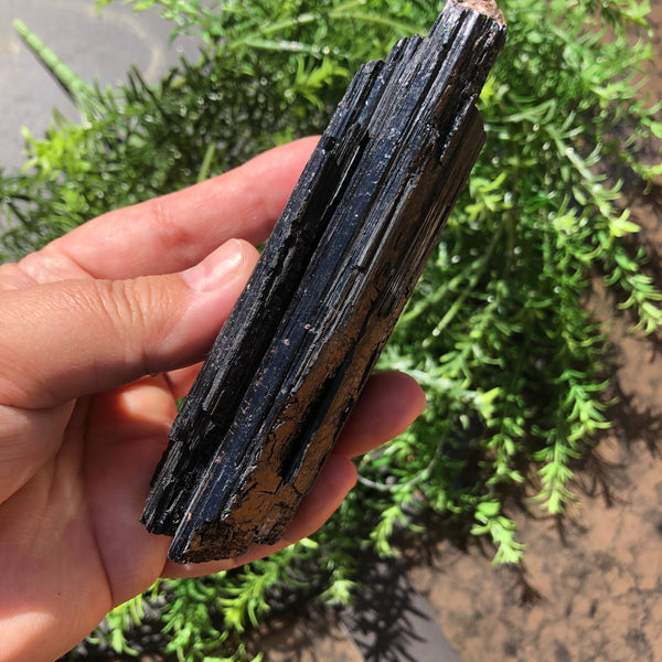 Large Black Tourmaline- (Protection)