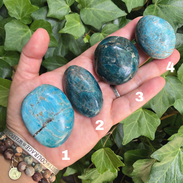 Apatite Palm Stones