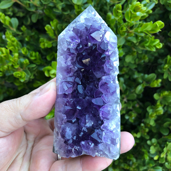 Amethyst Cluster Display Specimen (Protection, Intuition, Sobriety, Calm)