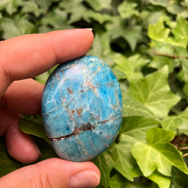 Apatite Palm Stones