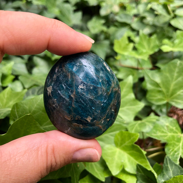 Apatite Palm Stones