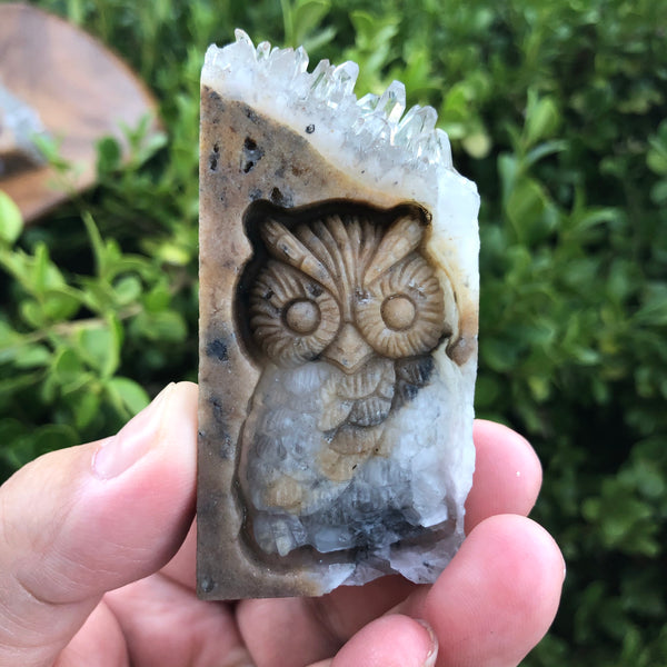 Carved Owl  with crystals