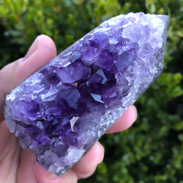 Amethyst Cluster Display Specimen (Protection, Intuition, Sobriety, Calm)