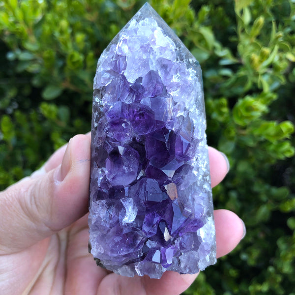 Amethyst Cluster Display Specimen (Protection, Intuition, Sobriety, Calm)