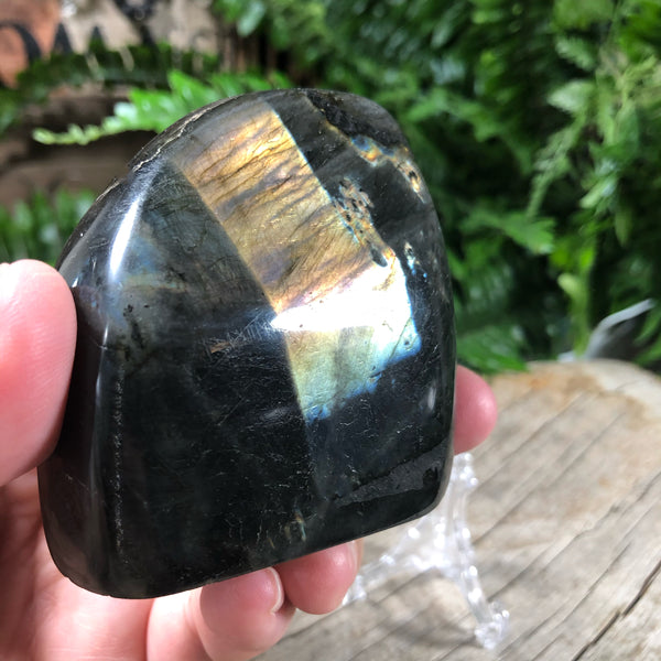Labradorite -free standing form - (protection)