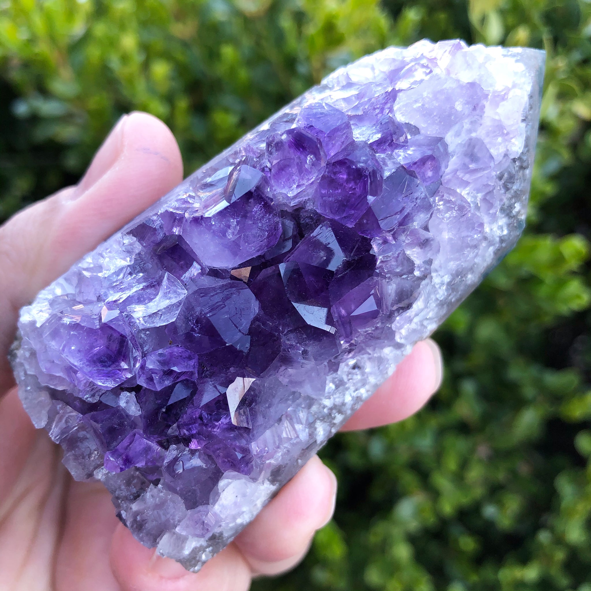 Amethyst Cluster Display Specimen (Protection, Intuition, Sobriety, Calm)