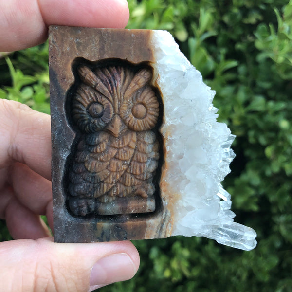Carved Owl  with crystals