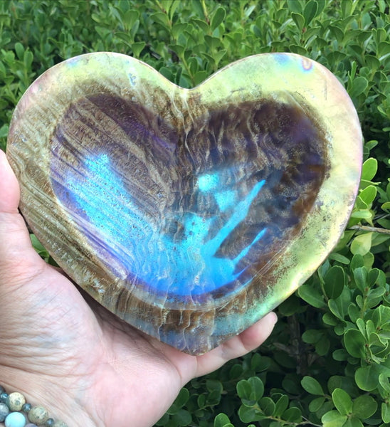 Huge Aura Petrified Wood carved heart bowl