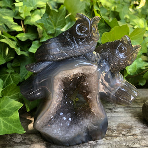 Carved Druzy Agate Owl (5.5 inch)