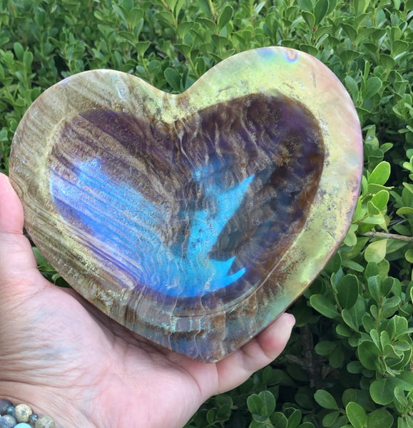 Huge Aura Petrified Wood carved heart bowl
