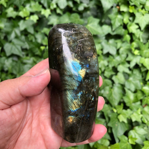 Labradorite - 4 inch free standing form  (Protection, higher consciousness, transformation)