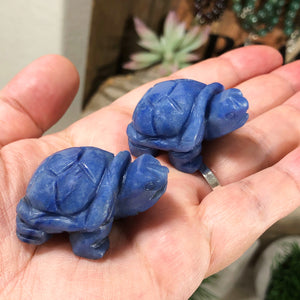 Carved Turtle - Blue Quartz
